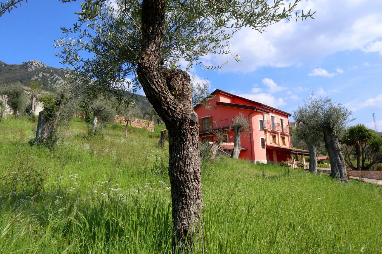 B&B La Casa Del Sole Controne エクステリア 写真